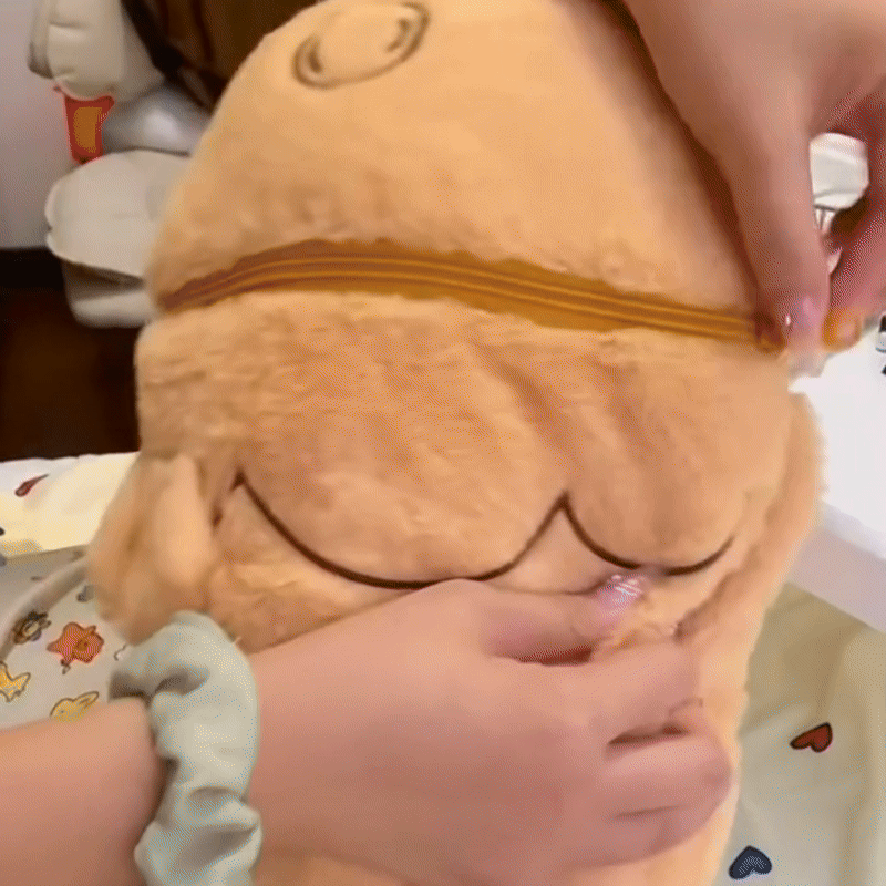 Plushti™ - Hidden Kitty Inside Fish Plush