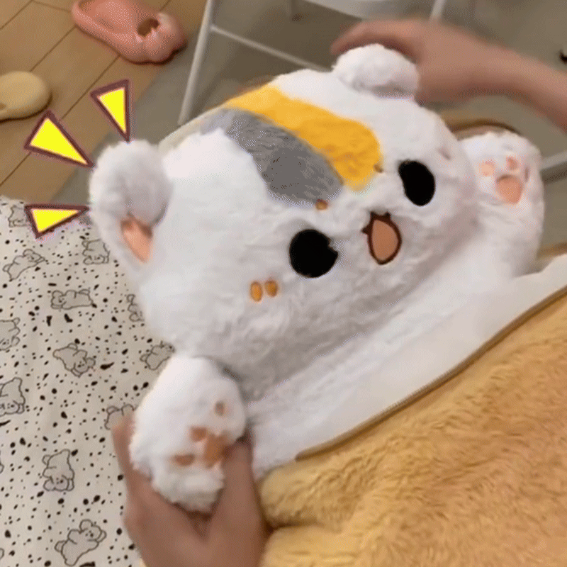 Plushti™ - Hidden Kitty Inside Fish Plush